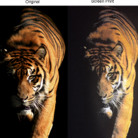 sidebyside-tiger-simulated-process-color-print